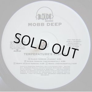 Mobb Deep - Temperature's Rising X7 /Still Shinin' 12 