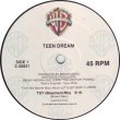 画像1: Teen Dream - Toy  12"