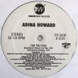 画像1: Adina Howard/Groove Theory/Aaliyah - For The Funk/It's Alright/Are You Ready  EP