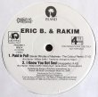 画像2: Eric B. & Rakim - Paid In Full : Platinum Edition Vinyl Sampler  EP 