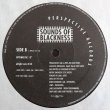 画像3: The Sounds Of Blackness - Optimistic (5Vers Double Pack Promo)  12"X2