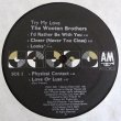 画像3: The Wooten Brothers - Try My Love  LP