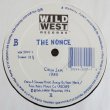 画像2: The Nonce - The Picnic Song/Picnic Song Remix (Down By The Lake)/Crew Jam/1985  12"