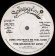 画像1: The Shades Of Love - Come And Make Me Feel Good (Remix)  12"