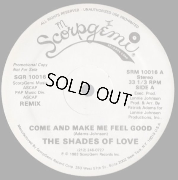 画像1: The Shades Of Love - Come And Make Me Feel Good (Remix)  12"