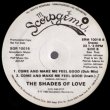 画像2: The Shades Of Love - Come And Make Me Feel Good (Remix)  12"