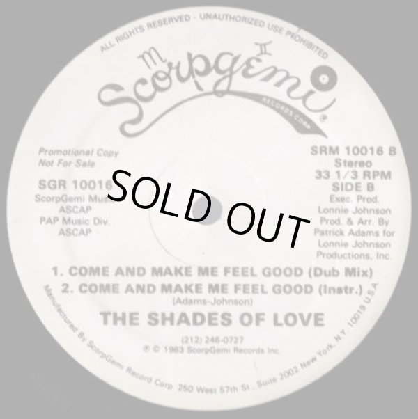 画像2: The Shades Of Love - Come And Make Me Feel Good (Remix)  12"