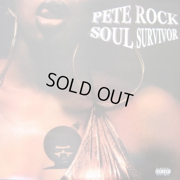 画像1: Pete Rock - Soul Survivor  2LP