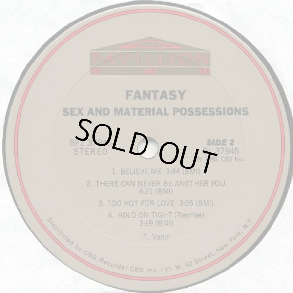 画像3: Fantasy - Sex And Material Possessions  LP