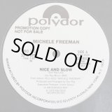 画像: Michele Freeman - Nice And Slow/Try My Loving  12" 