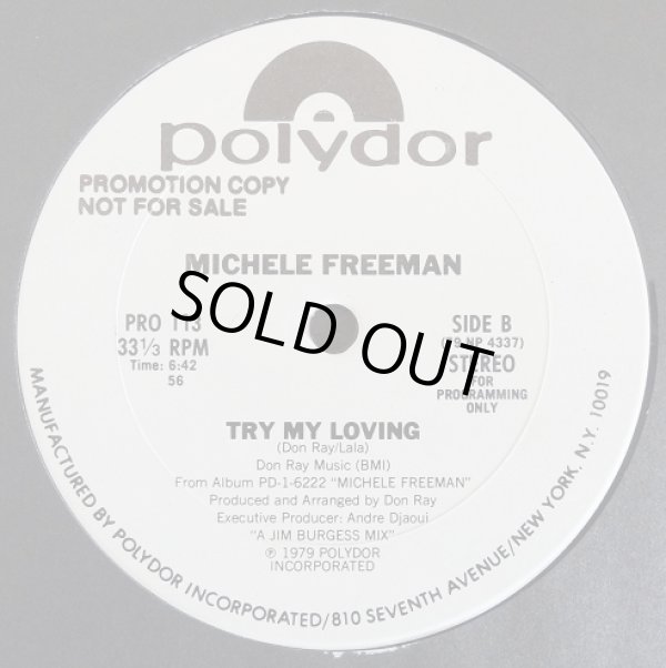 画像2: Michele Freeman - Nice And Slow/Try My Loving  12" 