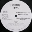 画像2: 3-D - Tommy Boy Megamix  12" 