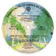 画像1: Funkadelic - One Nation Under A Groove (Palm Tree Label Promo！)  12"