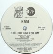 画像2: Kam - Still Got Love 4 'Um (Remix)  12"