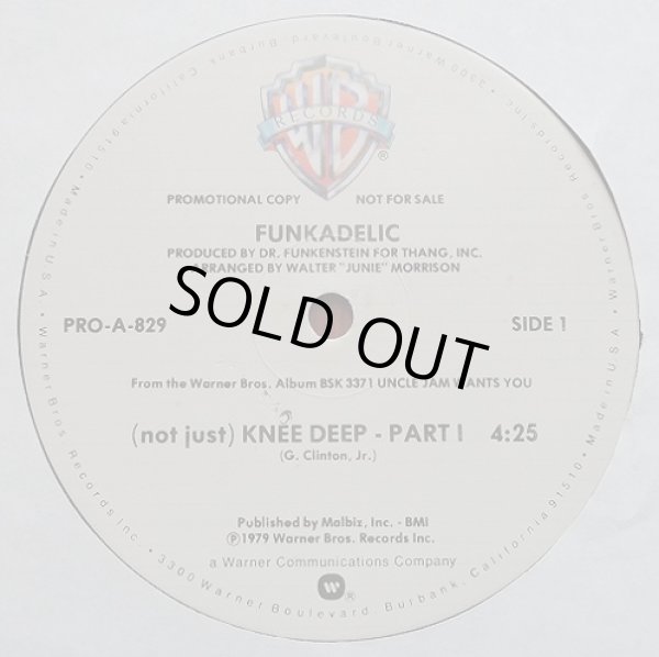 画像1: Funkadelic - (Not Just) Knee Deep  12" 