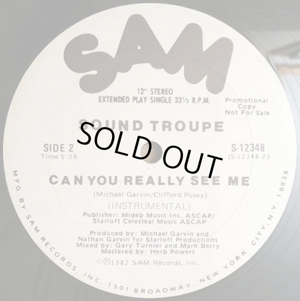 画像2: Sound Troupe - Can You Really See Me  12"