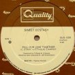 画像1: Sweet Ecstasy - Pull Our Love Together/Jam Party  12" 