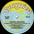 画像2: Dynamic Breakers - Dynamic (Total Control)   12"