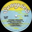 画像1: Dynamic Breakers - Dynamic (Total Control)   12"