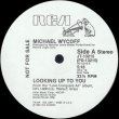 画像1: Michael Wycoff - Looking Up To You  12" 