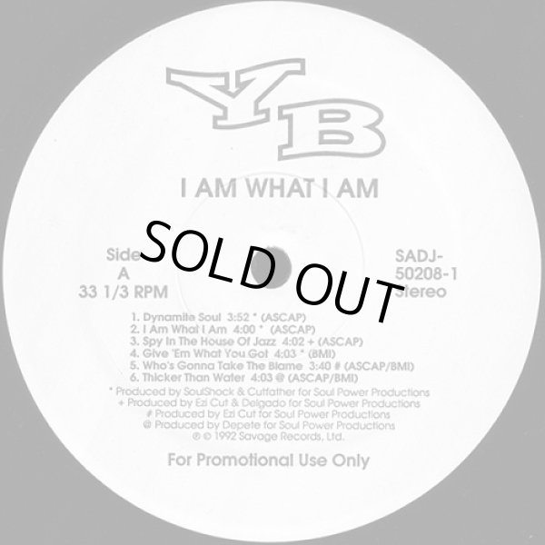 画像1: YB - I Am What I Am  LP