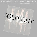 画像: Robert Palmer - I Didn't Mean To Turn You On/Addicted To Love 12"