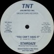 画像1: Stargaze - You Can't Have It  12" 