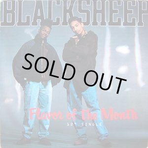画像: Black Sheep - Flavor Of The Month/Butt... In The Meantime  12"