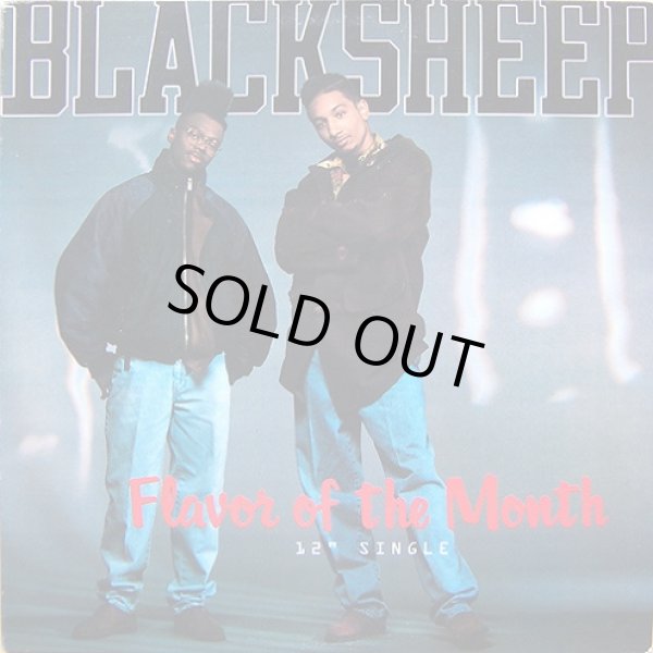 画像1: Black Sheep - Flavor Of The Month/Butt... In The Meantime  12"