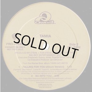 画像: Tamia - So Into You/Falling For You  12"