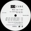 画像3: Ice Cube - What Can I Do？12"  