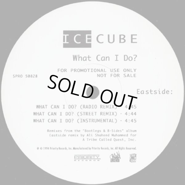 画像3: Ice Cube - What Can I Do？12"  