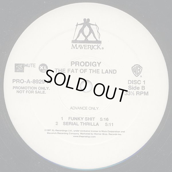 画像2: Prodigy - The Fat Of The Land  2LP