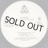 画像: Prodigy - The Fat Of The Land  2LP