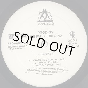 画像: Prodigy - The Fat Of The Land  2LP
