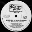 画像1: Unique - What I Got Is What You Need  12"