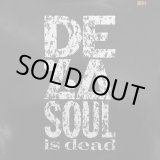 画像: De La Soul - De La Soul Is Dead  2LP
