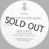 画像: Leaders Of The New School - What's Next/Connections  12"