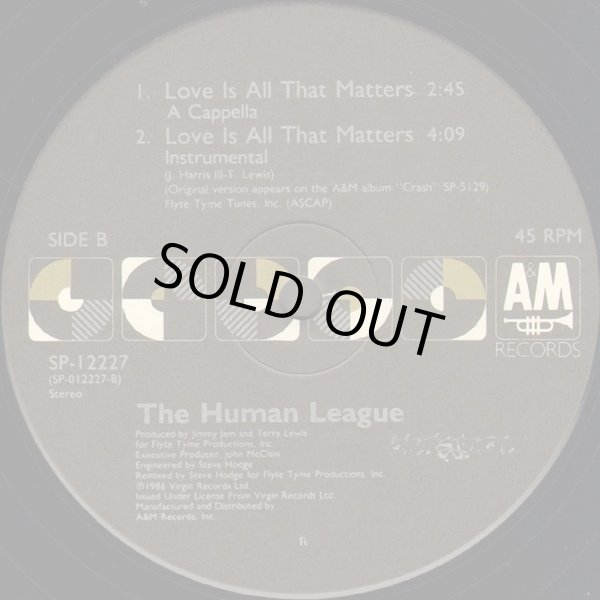 画像2: The Human League - Love Is All That Matters  12"