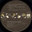 画像1: The Human League - Love Is All That Matters  12"