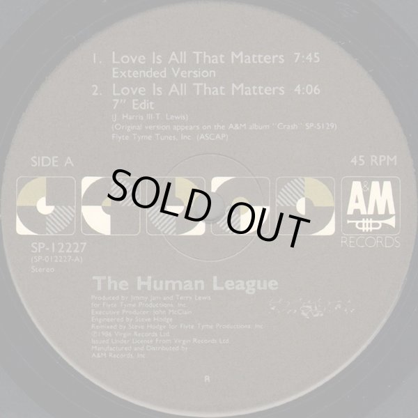 画像1: The Human League - Love Is All That Matters  12"