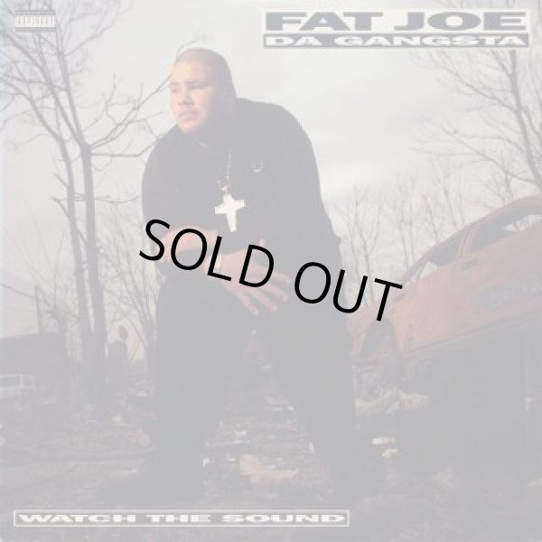 画像1: Fat Joe Da Gangsta - Watch The Sound  12"