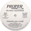 画像1: Ricardo Alexander - Wishing On A Star/Blow  12"