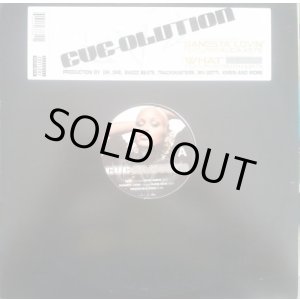 洋楽 Eve - Eve-Olution (US OG 2LP) Eve - Eve-Olution - Amazon.com Music