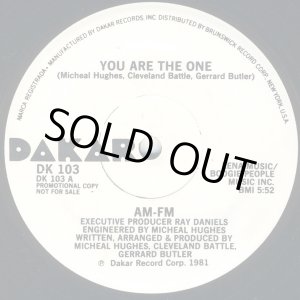 画像: AM-FM  -  You Are The One  12"