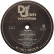 画像2: 3rd Bass -The Cactus Album  LP