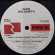 画像4: Glen Goldsmith - What You See Is What You Get  LP+12"
