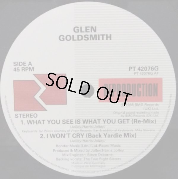 画像4: Glen Goldsmith - What You See Is What You Get  LP+12"