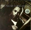 画像1: Glen Goldsmith - What You See Is What You Get  LP+12"
