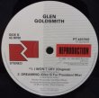 画像5: Glen Goldsmith - What You See Is What You Get  LP+12"